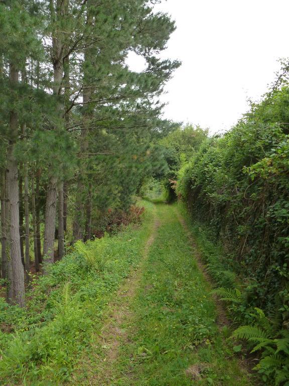 Viviendas Rurales Aldea De Dosamantes Pesaguero-La Parte 外观 照片